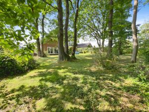 Photo 22- click for photo gallery